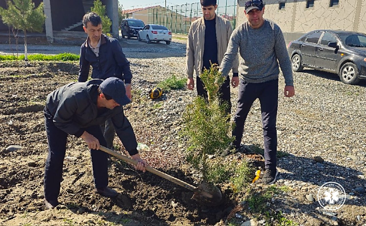 Bugun erta tongdan «Yashil makon» umummilliy loyihasi doirasida boʻsh yer maydonlariga daraxt koʻchatlari ekish boshlandi.